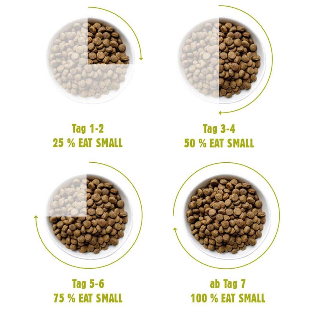 Eat Small WALD/Active 2 kg – Proteinreiches Trockenfutter aus Insekten für Hunde