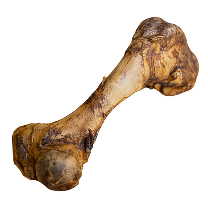 DeliBest Origin Kalbsknochen XXL Stück