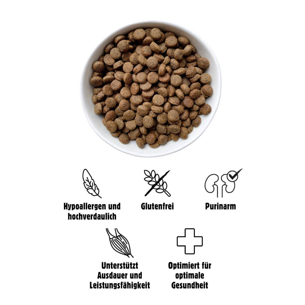 Eat Small WALD/Active  2 kg – Proteinreiches Trockenfutter aus Insekten für  Hunde